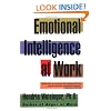 Emotional Intelligence at Work