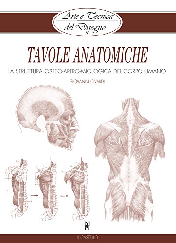 Arte e Tecnica del Disegno - 15 - Tavole anatomiche: La struttura osteo-artro-miologica del corpo umano (Civardi) (Italian Edition)