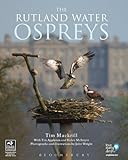 The Rutland Water ospreys