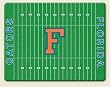 Large Cutting Board ~ Florida Gators football field ~ made of tempered glass ~ code 919CLC