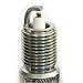 Search Our Specialty Mall : Champion Spark Plug 3015 Platinum Plug