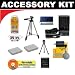 2 Spare NB-5L Batteries and Mini Battery Charger + Accessory Kit for Canon PowerShot SD700 IS, SD790 IS, SD800 IS, SD850 IS, SD870 IS, SD890 IS, SD900 & SD950 IS Digital Cameras