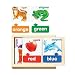 Melissa & Doug Colors Cards Puzzle