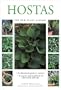 Hostas (Little Plant Library)
