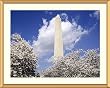 A Monumental Spring Day in Washginton, D.C. Photograph - Beautiful approx. 25"x29" Framed & Matted Photographic Print by Carol M. Highsmith