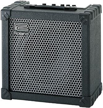 Cube 30 Guitar Combo Amp