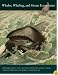 Whales, Whaling, and Ocean Ecosystems