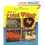 What Is a Living Thing? (Science of Living Things)