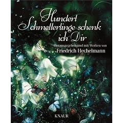 Hundert Schmetterlinge schenk ich dir (Gebundene Ausgabe)