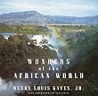 Wonders of the African World