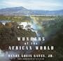 Wonders of the African World