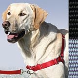 Gentle Leader Easy Walk Harness - Petite/Small, Black-Silver Tweener