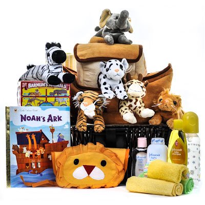 noah baby basket