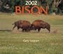 Bison