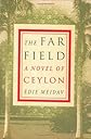 The Far Field