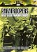 Paratroopers - Hitler's Elite Parachute Troops [DVD]
