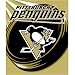Pittsburgh Penguins NHL Royal Plush Raschel Blanket (700 Series) (50x60)