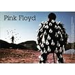 Pink Floyd - Delicate Sounds Decal
