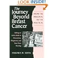 The Journey Beyond Breast Cancer: From the Personal to the Political--Taking an Active Role in Prevention, Diagnosis,... by Virginia M. Soffa