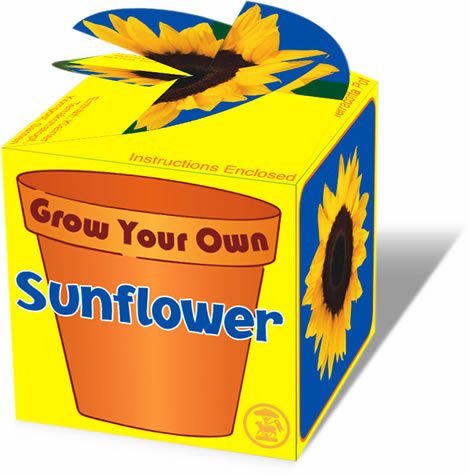 Childrens Toyshop  Toys : Grow Your Own Sunflower