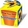 Grow Your Own Sunflower