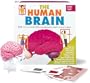 The Human Brain: Action Book (Science Action Books (Running Press))