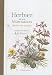 Herbier de nos montagnes : Itinéraires d'une aquarelliste