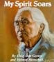 My Spirit Soars