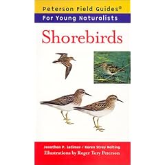 Shorebirds (Peterson Field Guides for Young Naturalists)