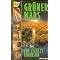 Hugo Award / Novel