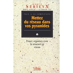 Mettez du r�seau dans vos pyramides : Penser, organiser, vivre la structure en r�seau