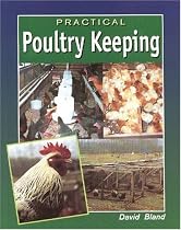 Practical Poultry Keeping