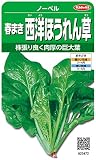 サカタのタネ 実咲野菜3472 春まき西洋ほうれん草 ノーベル 00923472 10袋セット