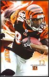 Cincinnati Bengals- TJ Houshmandzadeh Lamina Framed Poster Print, 22x34