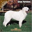 Great Pyrenees 2008 Wall Calendar