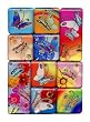 Flutter Butterflys Mighty Magnets Set of 10