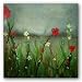 Meadow V by Ivan Reyes 30"x30" Art Print Poster Latin