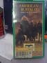 Nature:American Buffalo Spirit of a N [VHS]