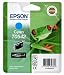 Epson - T0542 - Encre cyan pour R800 R800r R1800