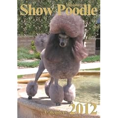 Miniature Poodle-Kalender 2012