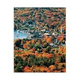  : Springbok Autumn Harbor 1500 Piece Jigsaw Puzzle