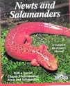 Newts and Salamanders (More Complete Pet Owner's Manuals)