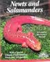 Newts and Salamanders