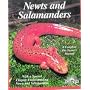 Newts and Salamanders (Complete Pet Owner's Manual)