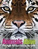 Animals alive