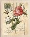 Rose Postcard Wood Mounted Rubber Stamp