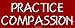 PRACTICE COMPASSION Bumper Sticker