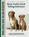 Nova Scotia Duck Tolling Retriever