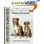 Nova Scotia Duck Tolling Retriever: Special Rare-Breed Edition : A Comprehensive Owner's Guide (Kennel Club Dog Breed Series)