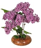 Ikebana Vase for Buddhist Flower Arrangement Meditation